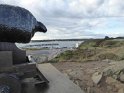 2019-09-24 09-40-57 Port de St Cast FGn